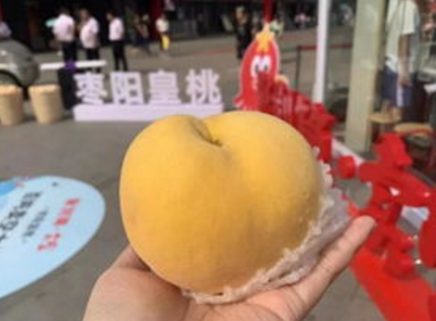 截图20230209133050.png 截图20230209133050.png