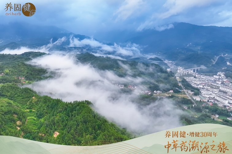 截图20240923174219.jpg 截图20240923174219.jpg